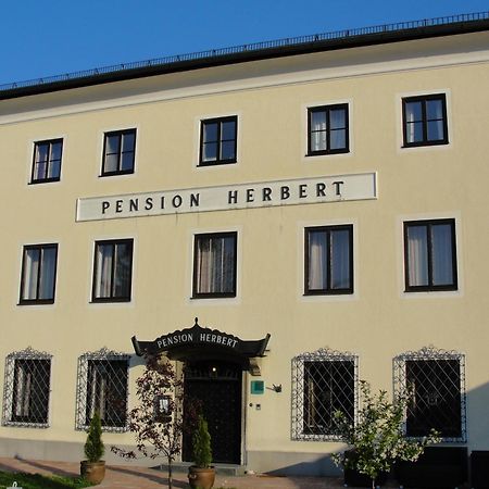 Hotel Pension Herbert Salisburgo Esterno foto