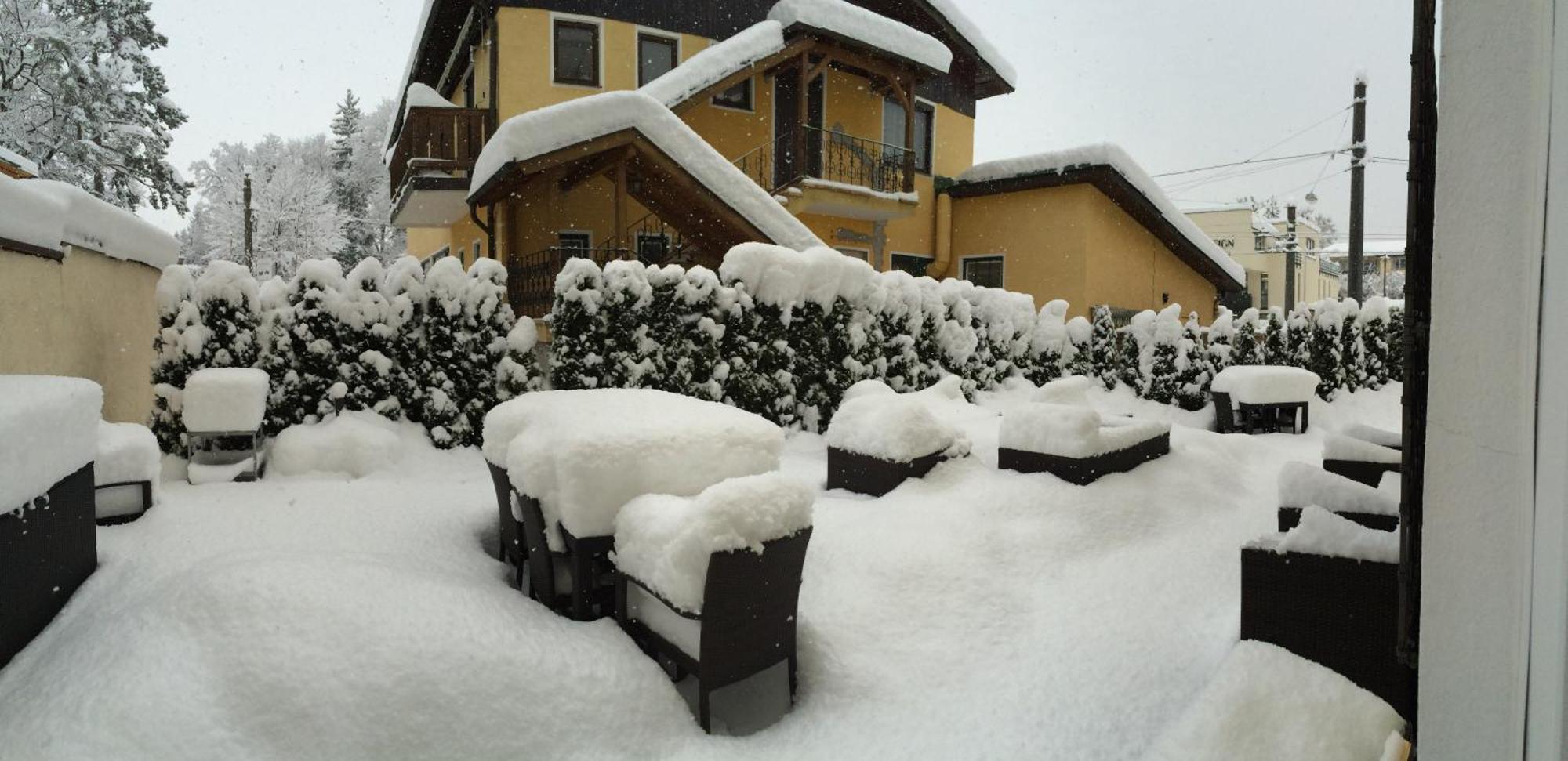 Hotel Pension Herbert Salisburgo Esterno foto